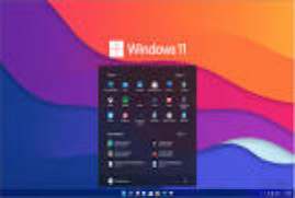 Windows 11 Pro 10.0.22000.376 Virtual Machine (VMware)