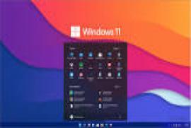 Windows 11 Pro 10.0.22000.376 Virtual Machine (VMware)