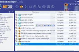 Ant Download Manager Pro 2