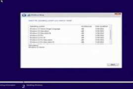 Windows 11/10/8.1 Professional + Office 2021/2019 Dual Boot pt-B