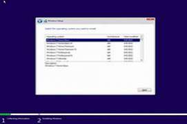 Windows All (7, 8.1, 10, 11) All Editions With Updates AIO 49in1