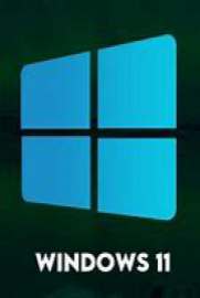 WINDOWS 11 PRO x64 MULTI-Language