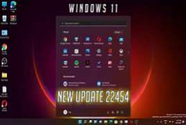 Windows 11 Pro 22454.1000 LITE for VMWare