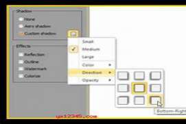 WinSnap v6.0