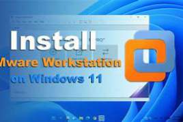Windows 11 Pro 22000.258 Virtual Machine (VMware)