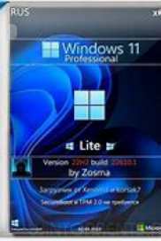 Windows 11 Pro 22H2 (22610.1)