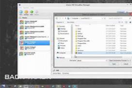 Windows 11 Pro VirtualBox OVA